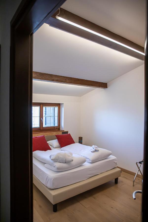 Maison Faganello Chalet Tambre dʼAlpago Zewnętrze zdjęcie